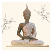 Meditation Trainer アイコン