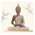 Meditation Trainer