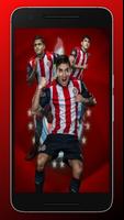 Chivas de Guadalajara wallpapers الملصق