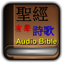 Audio Bible & Online Bible APK