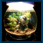 Aquascape Design Ideas आइकन