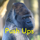 Push Ups Counter (Gorilla gorilla gorilla) icône