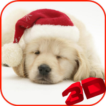 Christmas Puppy Live Wallpaper