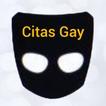 Citas Gay icon