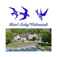Hotel Seehof Walenstadt Affiche