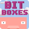 Bit Boxes