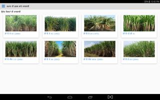 Sugarcane DSS capture d'écran 3