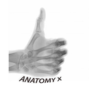 Anatomy and Radiographic Proje APK