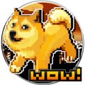 Doge Catch