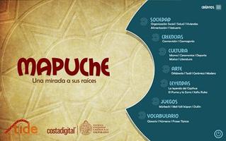 App Mapuche poster