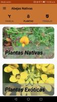 Guía Interactiva de Abejas Nativas de Chile screenshot 1