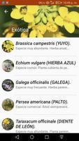 Guía Interactiva de Abejas Nativas de Chile captura de pantalla 3