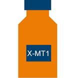 Monitor Temperatura X-MT1