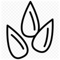 ui-seed