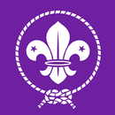 Traductores Scout APK