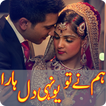 Hum Ne To Yunhi Dil Hara by Anaya Ahmed: Romantic