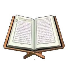 The Qur'an enlightens my life