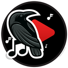 Free Music and video Downloader JC Music-icoon
