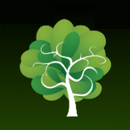 BarrioAlto APK