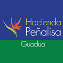 Hacienda Peñalisa Guadua APK