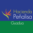 Hacienda Peñalisa Guadua icône
