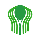 RAQUETA BOSQUES icon