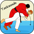 Apprendre le taekwondo icône