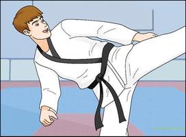 Apprendre le taekwondo capture d'écran 3