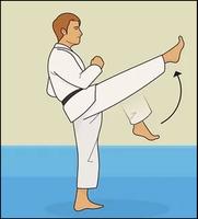 Apprendre le taekwondo capture d'écran 1