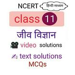 Class 11 biology solutions