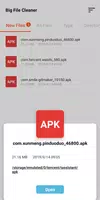 Trình dọn dẹp tệp lớn Big File Cleaner ảnh chụp màn hình 5