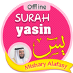 yasin suresi internet olmadan Mishary Alafasy