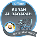 Surah Al Baqarah Offline - Maher Al Mueaqly APK