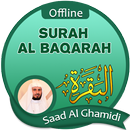 Surah Al Baqarah Offline - Saad Al Ghamidi APK