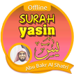 Surah Yasin Offline - Abu Bakr Al Shatri