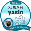 Surah Yasin Offline - Maher Al Mueaqly