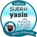 APK Surah Yasin Offline - Maher Al Mueaqly