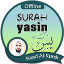 Surah Yasin Offline - Raad Al kurdi APK