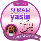 Surah Yasin Offline - Saad Al Ghamidi ícone