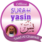 Surah Yasin Offline - Saad Al Ghamidi icono