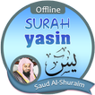 Surah Yasin Offline - Saud Al-Shuraim