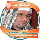 محمد عبد الوهاب الطنطاوى القران الكريم APK