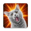 Sons de gatos APK