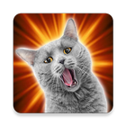 Cat Sounds icon