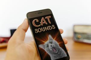 Cat Sounds poster