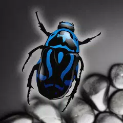 昆虫の音：素晴らしいミクロの世界を探検 アプリダウンロード