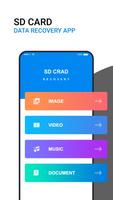 SD Card Data Recovery Cartaz