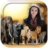 Animal Photo Frames icon