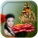 Butterfly Photo Frames APK