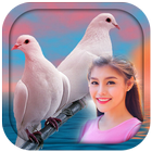 Love Birds Photo Frames-icoon
